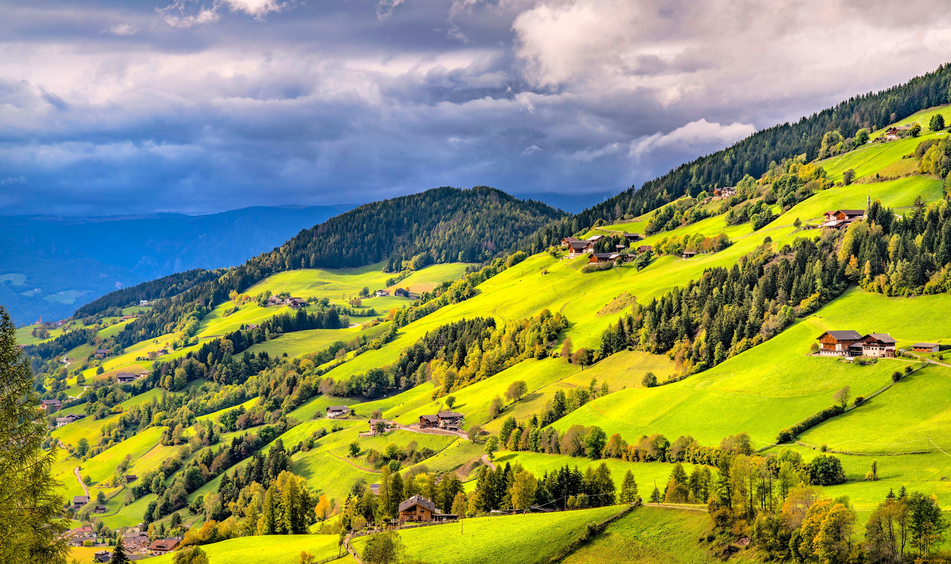 ������, - �������, ����, �����, ����, �������, ���, ������